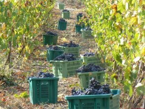 Pessighette Dimora di Campagna